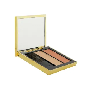Estee Lauder Pure Color Envy Sculpting Blush   Highlighter Duo - # Sinful Peach  6g/0.21oz